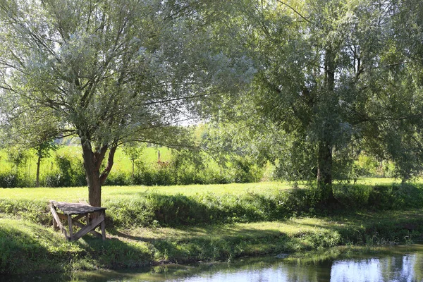 Bild einer kleinen Seebrücke am Seeufer an einem schönen Tag — Stockfoto