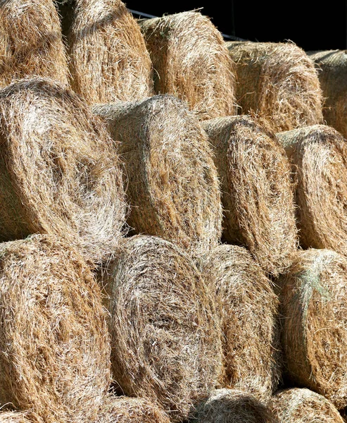 Fardos de palha na fazenda de cavalos rural — Fotografia de Stock