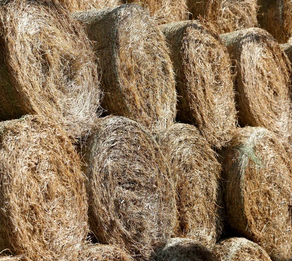 Balles de paille à la ferme de chevaux rurale — Photo