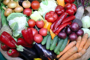 Çeşitli taze toplanmış sebzeler. 