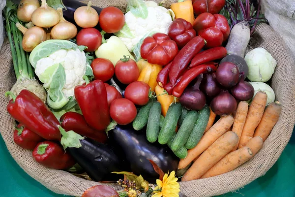 Varias verduras cosechadas recién recogidas —  Fotos de Stock