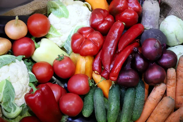 Varias verduras cosechadas recién recogidas —  Fotos de Stock