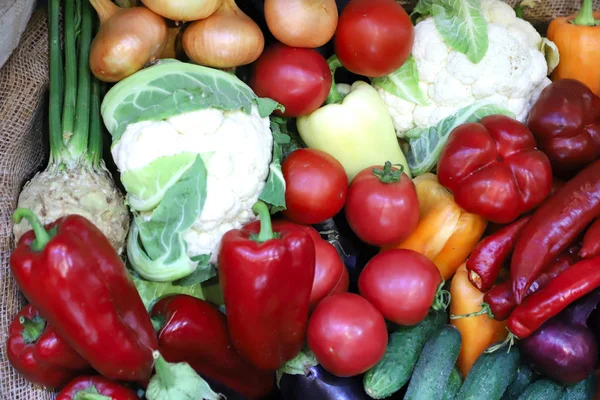 Varias verduras cosechadas recién recogidas —  Fotos de Stock