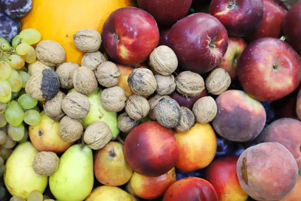 Várias frutas colhidas recentemente colhidas — Fotografia de Stock