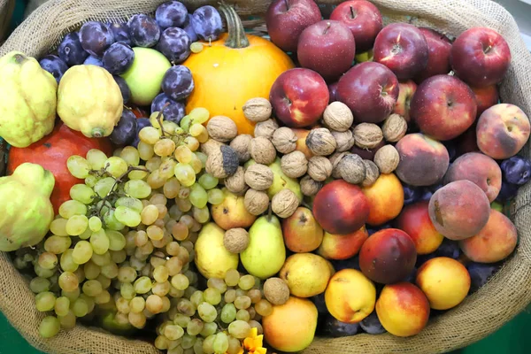 Várias frutas colhidas recentemente colhidas — Fotografia de Stock