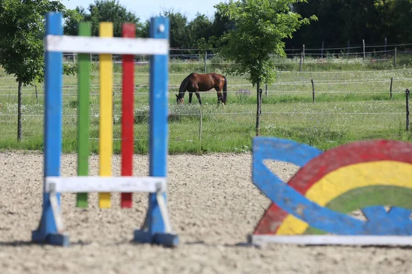 Image of poles on empty training field. Wooden barriers for horses as a background. Colorful photo of equestrian obstacles. Empty field for equestrian training