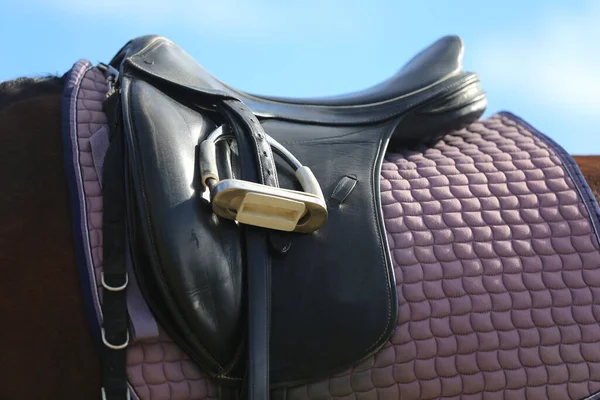 Cavallo Sportivo Vicino Vecchia Sella Pelle Pronta Dressage Training Sfondo — Foto Stock
