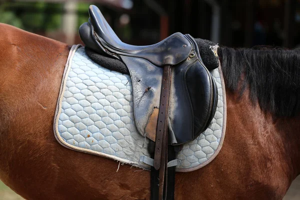 Sportpaard Close Oud Lederen Zadel Klaar Voor Dressuurtraining Paardensport Achtergrond — Stockfoto