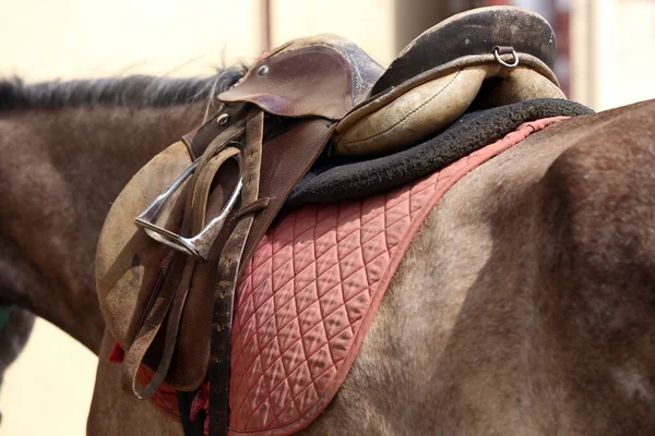 Sport Horse Close Old Leather Saddle Ready Dressage Training Equestrian — Stock Photo, Image