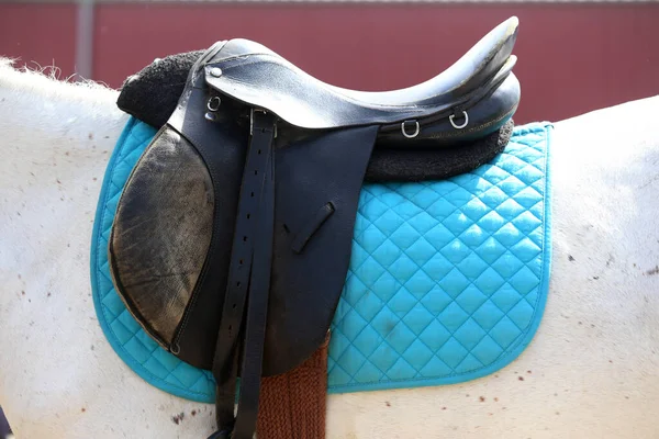 Cavalo Esporte Fechar Sela Couro Velho Pronto Para Treinamento Curativo — Fotografia de Stock