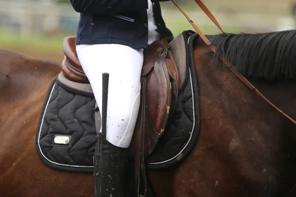 Sportovní Kůň Zblízka Staré Kožené Sedlo Připravené Drezurní Trénink Jezdecké — Stock fotografie