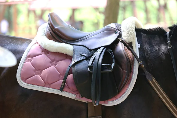 スポーツ馬を閉じると 古い革のサドルは ドレッジトレーニングのために準備 馬術競技の背景 — ストック写真