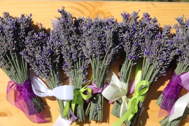 Menekşe kurdeleli bir demet lavanta. Eski ahşap masa üzerinde taze lavanta çiçeği buketi. Mor bitkisel çiçek. Lavanta aromaterapisi 