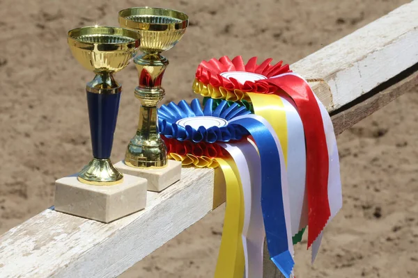 Group of horse riding equestrian sport trophies and badges rosettes at equestrian event on white wooden  fence