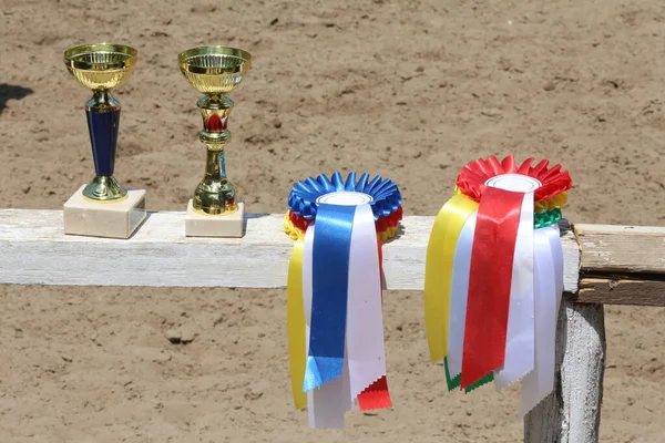 Group of horse riding equestrian sport trophies and badges rosettes at equestrian event on white wooden  fence