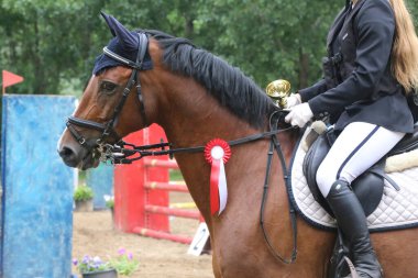 Genç ödüllü bir yarışmacının kafasında renkli kurdele rozeti var. Yarışmalardan sonra kazanan ata rozet takan gururlu bir binici.