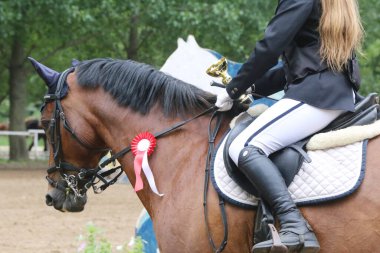 Genç ödüllü bir yarışmacının kafasında renkli kurdele rozeti var. Yarışmalardan sonra kazanan ata rozet takan gururlu bir binici.