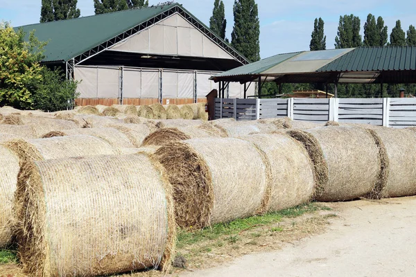 Widok Wiejskiej Hodowli Zwierząt Belami Siana Zbiorach Siano Zwija Bele — Zdjęcie stockowe