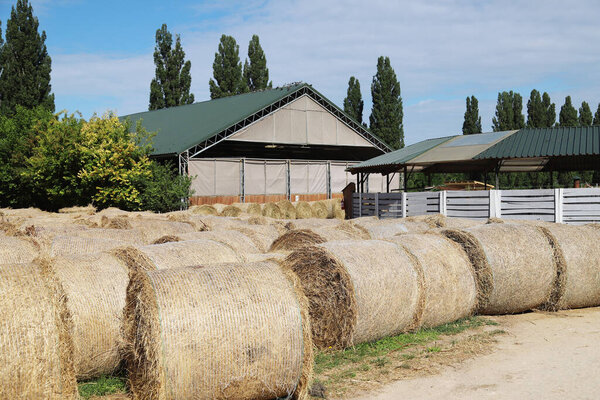 View of a rural animal farm with hay bales after harvest. Hay roll bales on countryside.  End of summertime. Hay texture. Hay bales are stacked in large stacks on an unknown riding centre 