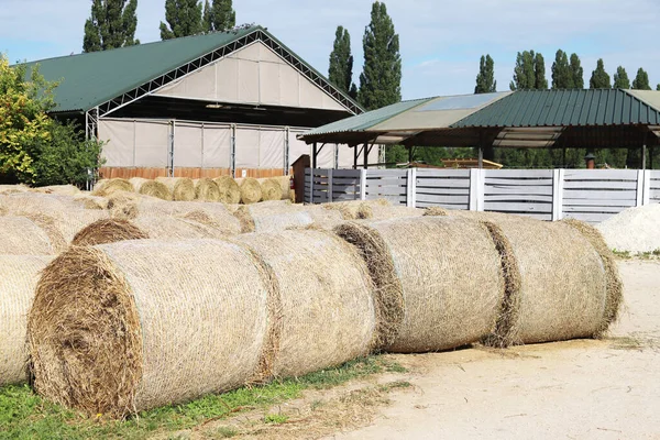 Vue Une Ferme Animale Rurale Avec Balles Foin Après Récolte — Photo