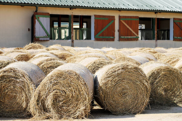 View of a rural animal farm with hay bales after harvest. Hay roll bales on countryside.  End of summertime. Hay texture. Hay bales are stacked in large stacks on an unknown riding centre 