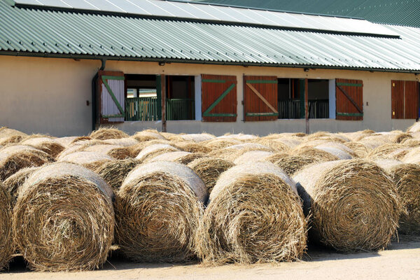 View of a rural animal farm with hay bales after harvest. Hay roll bales on countryside.  End of summertime. Hay texture. Hay bales are stacked in large stacks on an unknown riding centre 