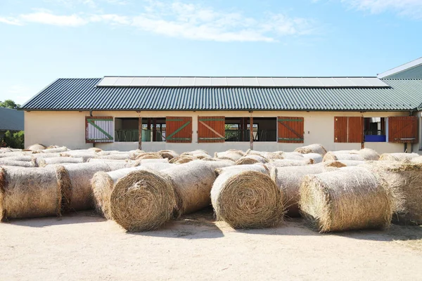 Vista Uma Fazenda Animal Rural Com Fardos Feno Após Colheita — Fotografia de Stock