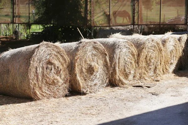 Vista Una Granja Animales Rurales Con Fardos Heno Después Cosecha Imagen De Stock