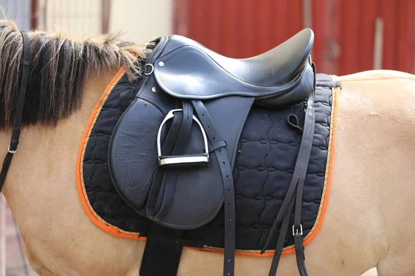 Vieux Cheval Selle Cuir Avec Étriers Sur Dos Cheval Selle — Photo