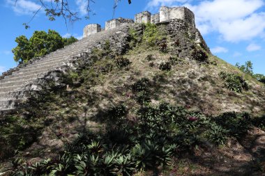 Guatemala 'daki Tikal' in Maya kalıntıları. Kolombiya öncesi Maya uygarlığının arkeolojik alanı.  