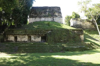 Guatemala 'daki Tikal' in Maya kalıntıları. Kolombiya öncesi Maya uygarlığının arkeolojik alanı.  