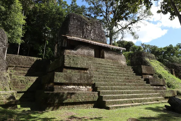 Guatemala 'daki Tikal' in Maya kalıntıları. Kolombiya öncesi Maya uygarlığının arkeolojik alanı.  