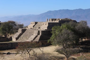 Meksika Maya şehri Oaxaca şehri yakınlarındaki Monte Alban 'da harabe.