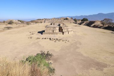 Meksika Maya şehri Oaxaca şehri yakınlarındaki Monte Alban 'da harabe.