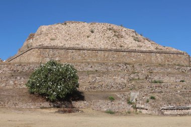 Meksika Maya şehri Oaxaca şehri yakınlarındaki Monte Alban 'da harabe.