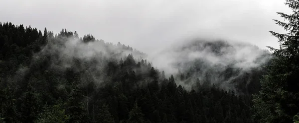 Ukrayna Karpatyan dağları manzaraları