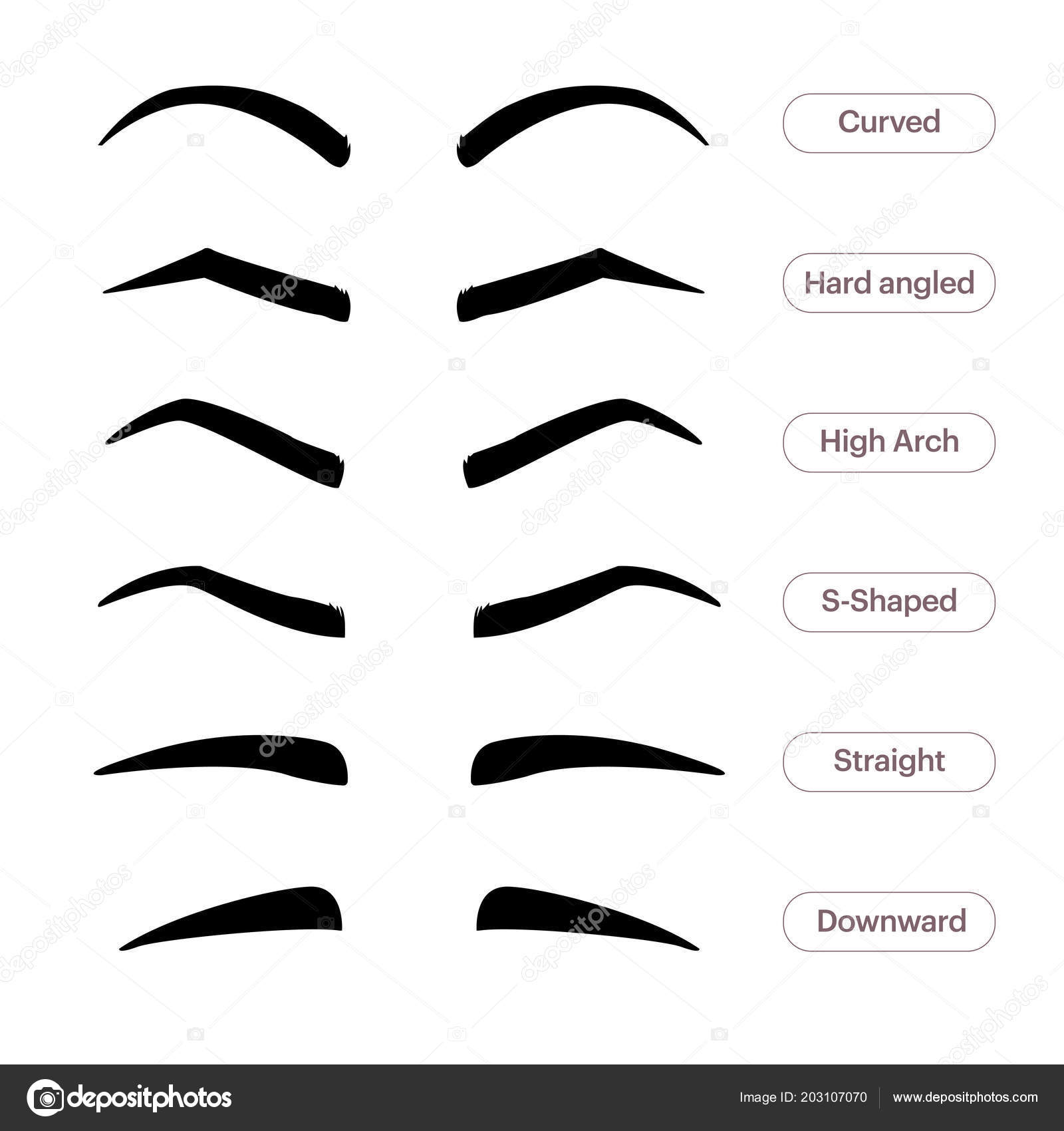 Types Of Eyebrow Shapes
