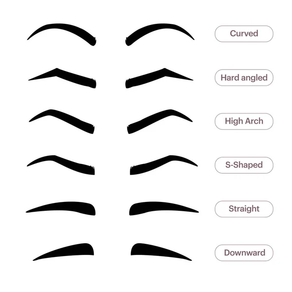 Sourcils Free Stock Vectors