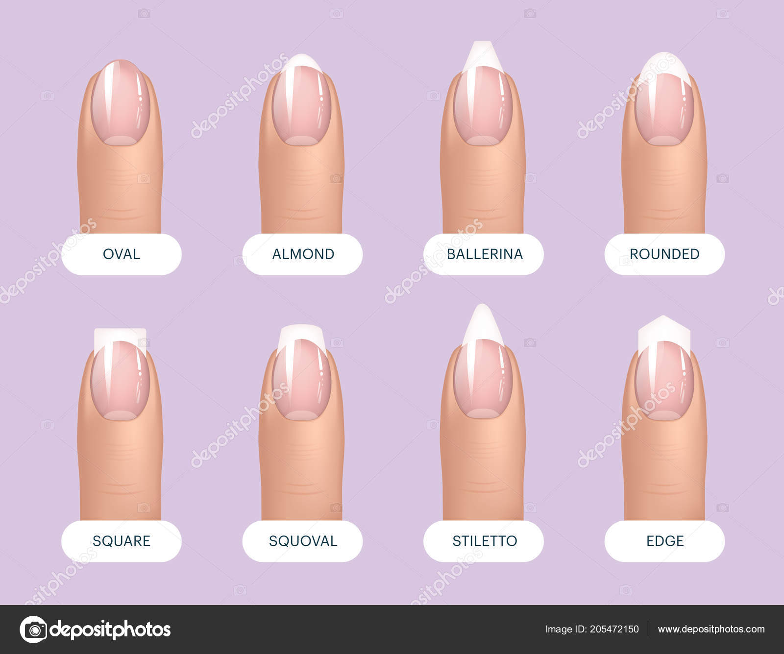 Set Simple Realistic Natural Manicured Nails Different Shapes Illustration  Your Stock Photo by ©iam-frukt 205472150