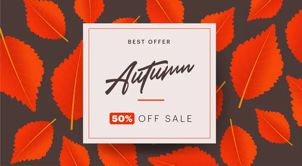 Autumn background layout decorate with leaves for shopping sale or promo poster and frame leaflet or web banner. illustration template. — Stock Photo, Image