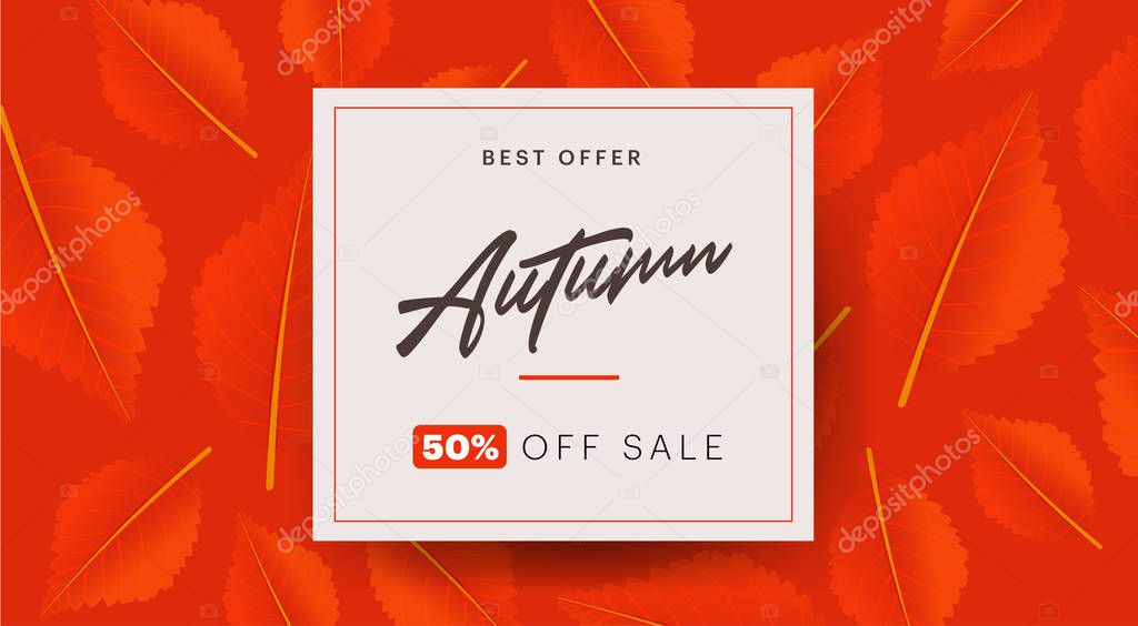 Autumn background layout decorate with leaves for shopping sale or promo poster and frame leaflet or web banner. illustration template.