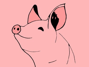 domuz kafası taslağını.