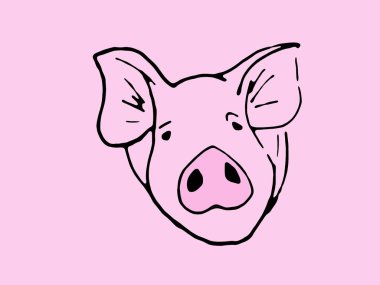 Muzzle pig close up on a white background. Sketch. clipart