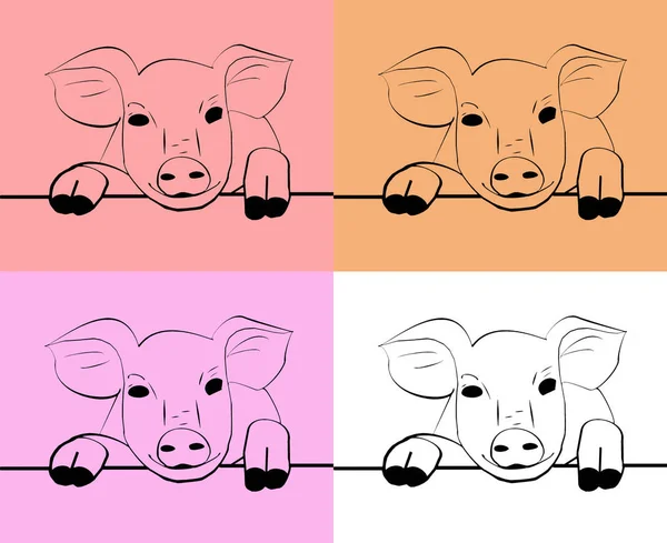 Maulkorb für Schweine auf anderem Hintergrund — Stockfoto