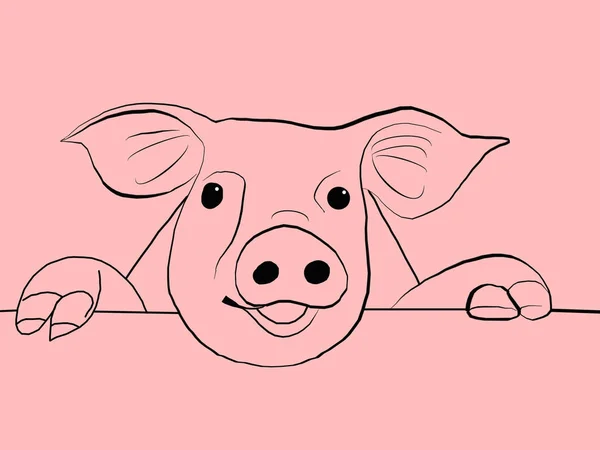 Pig muzzle on the pink background — Stock Photo, Image