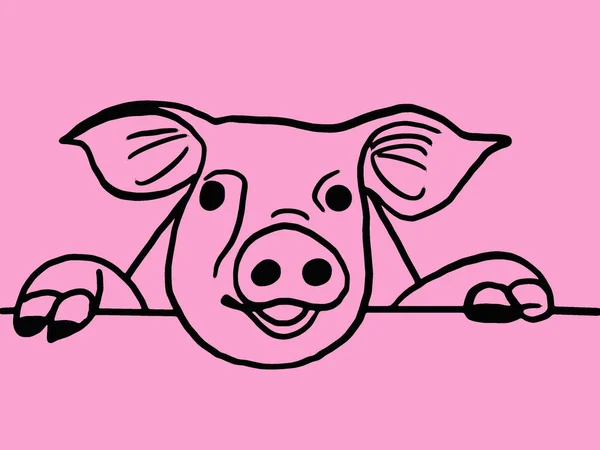 Pig muzzle on the pink background — Stock Photo, Image