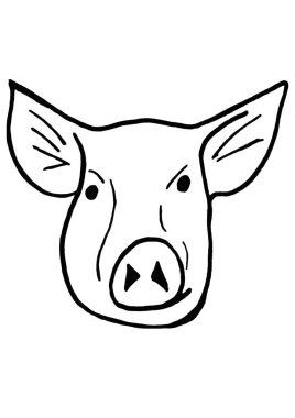 Namlu domuz beyaz bir arka plan üzerine kapatın. Kroki.