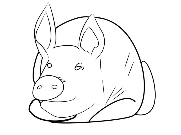돼지는 흰 배경에 닫습니다. 스케치. — 스톡 사진