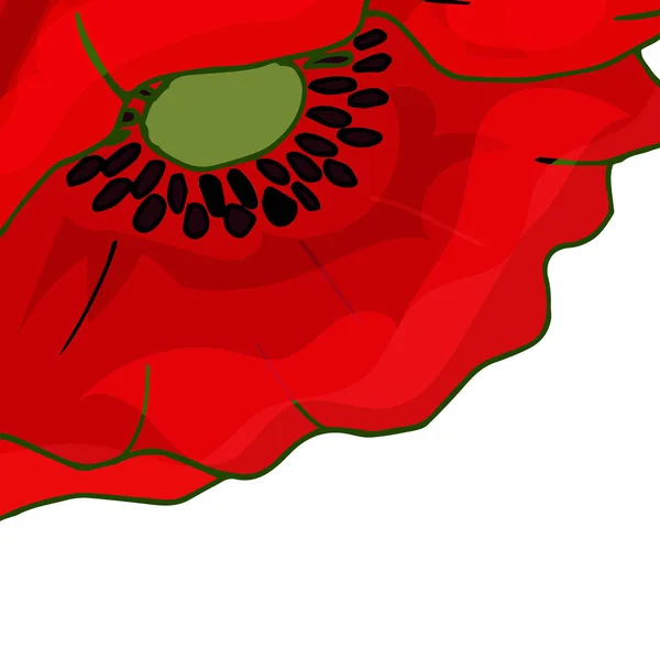 Sjabloon Voor Florale Kaarten Visitekaartjes Uitnodigingen Covers Macrobloem Rood Heldere — Stockfoto