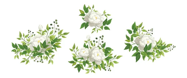 Vector Vintage Floral Set White Roses — Stock Vector